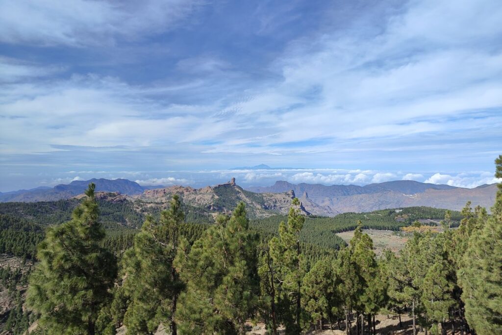 Mirador del Pico de las Nieves